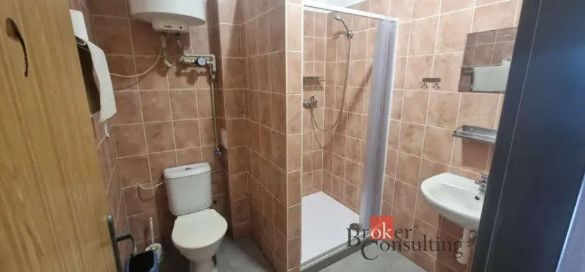 Pronájem historického objektu, Plzeň, Plovární, 150 m2