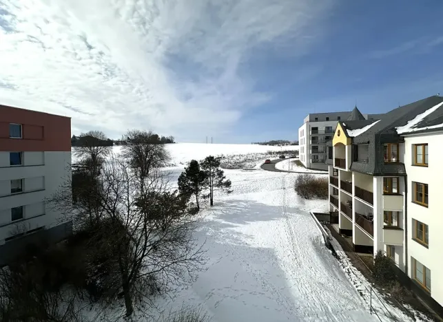 Prodej bytu 3+1, Pelhřimov, Boženy Němcové, 64 m2