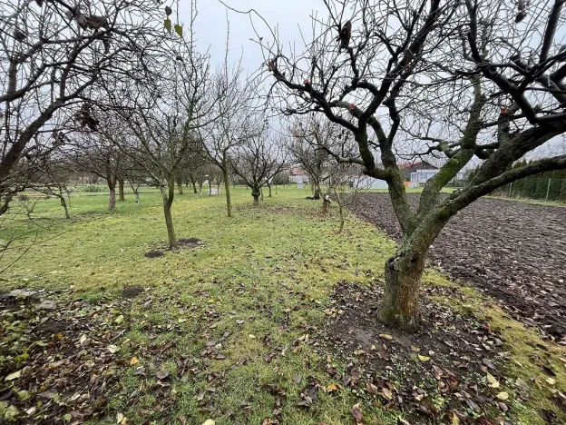 Prodej zahrady, Říkovice, 730 m2