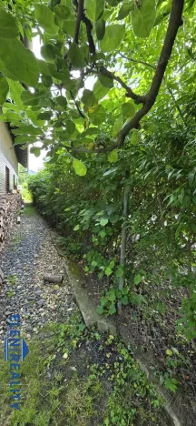 Prodej rodinného domu, Bělá pod Pradědem - Domašov, 228 m2