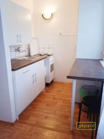 Pronájem bytu 1+1, Praha, Svojšovická, 28 m2