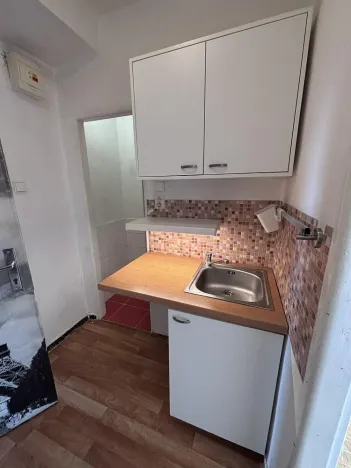 Pronájem bytu 1+kk, Ostrava - Hrabůvka, Krakovská, 21 m2