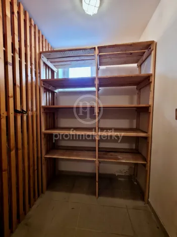 Pronájem bytu 1+kk, Bílovice nad Svitavou, Šebelova, 51 m2