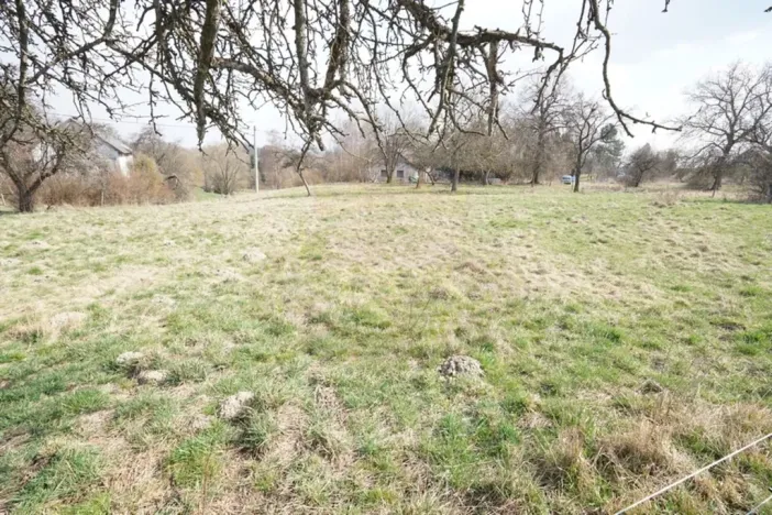 Prodej pozemku pro bydlení, Brzice - Proruby, Brzice, 1 m2