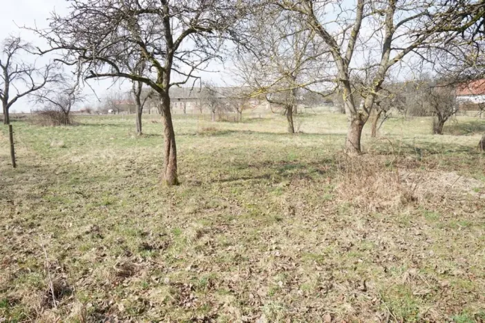 Prodej pozemku pro bydlení, Brzice - Proruby, Brzice, 1 m2