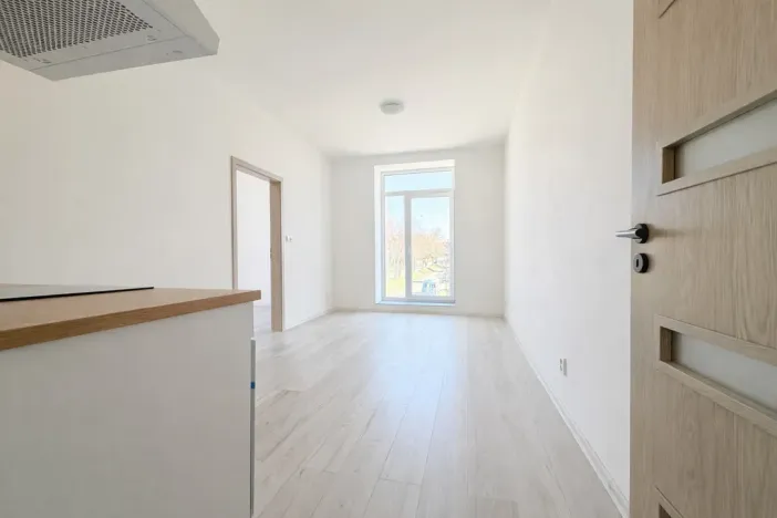 Pronájem bytu 2+kk, Milovice - Mladá, Slepá, 31 m2