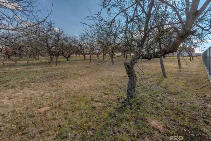 Prodej pozemku pro bydlení, Skalice, 1000 m2