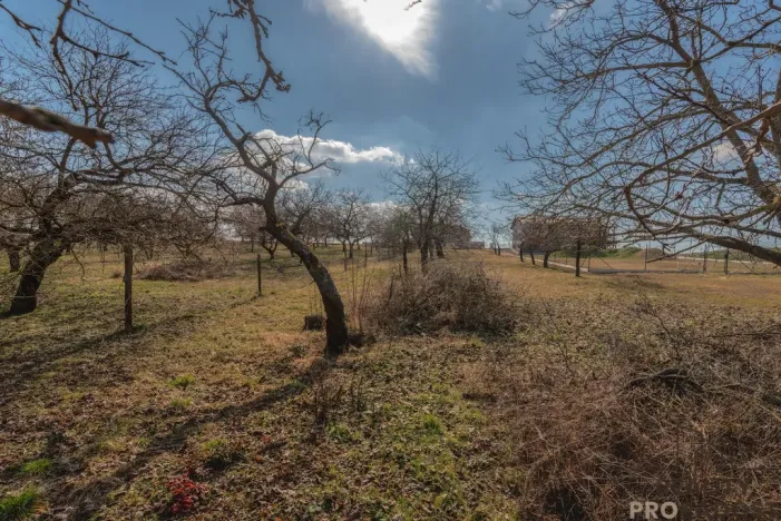 Prodej pozemku pro bydlení, Skalice, 1000 m2