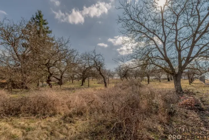 Prodej pozemku pro bydlení, Skalice, 1000 m2