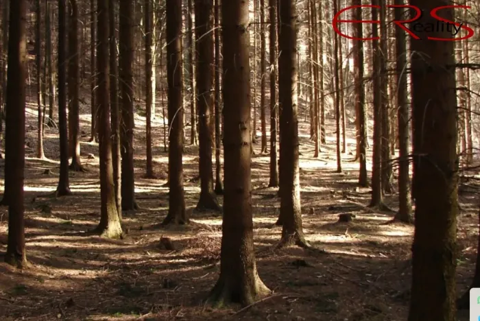 Prodej lesa, Hrdlív, 60268 m2