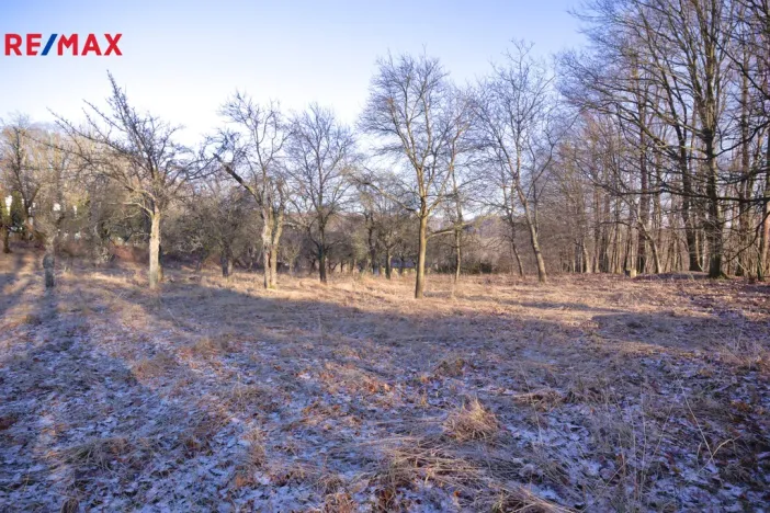 Prodej pozemku pro bydlení, Březnice, 1860 m2