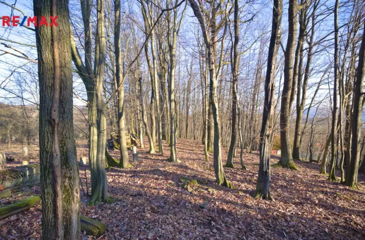 Prodej pozemku pro bydlení, Březnice, 1860 m2