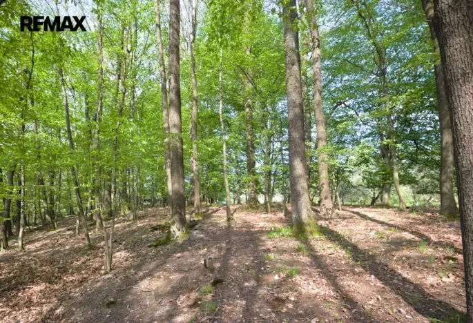 Prodej pozemku pro bydlení, Březnice, 1697 m2