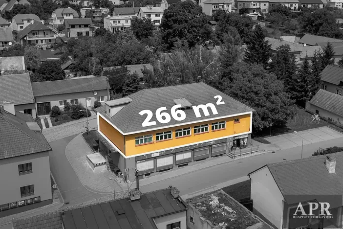 Pronájem obchodního prostoru, Topolná, 266 m2