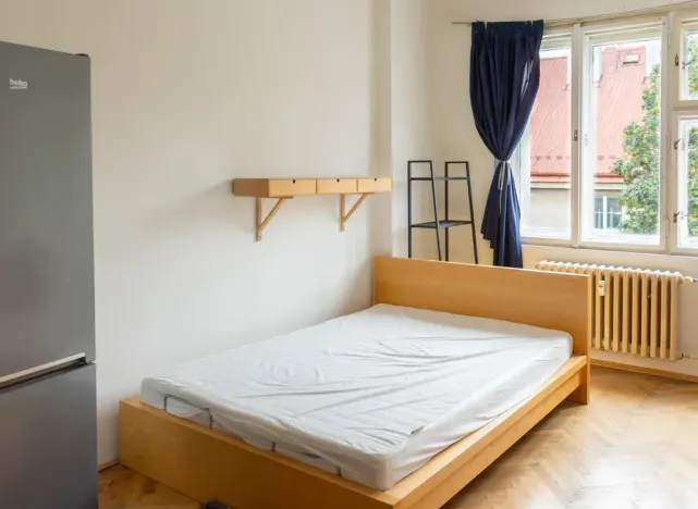 Pronájem bytu 1+kk, Praha - Žižkov, Biskupcova, 28 m2