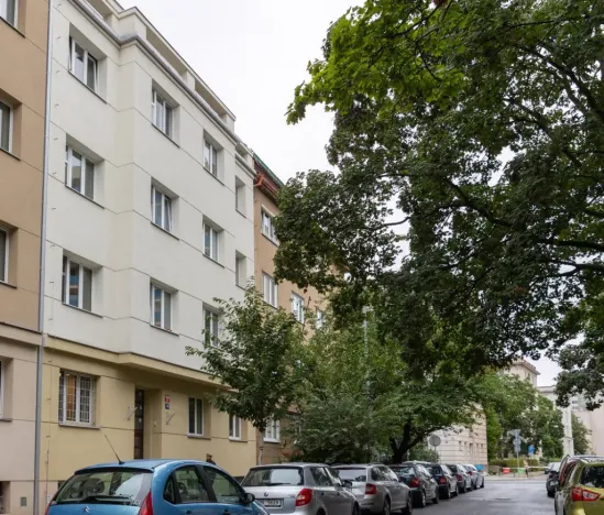 Pronájem bytu 1+kk, Praha - Žižkov, Biskupcova, 28 m2
