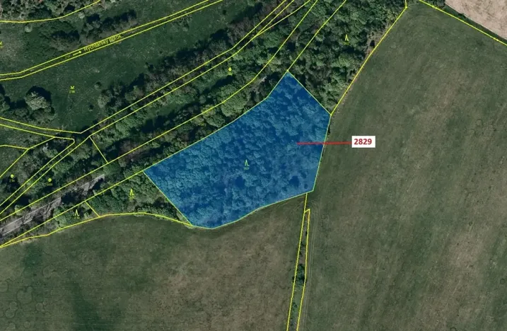 Dražba lesa, Budišov nad Budišovkou, 7776 m2