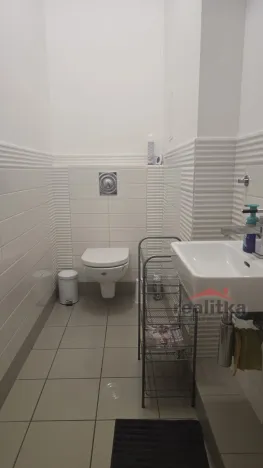 Pronájem bytu 3+1, Opava - Předměstí, Gudrichova, 139 m2