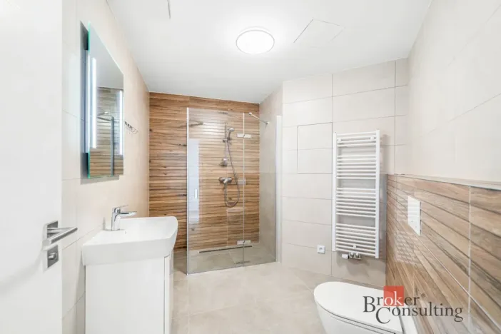 Pronájem bytu 2+kk, Plzeň - Jižní Předměstí, Železná, 52 m2