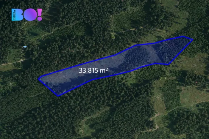 Prodej lesa, Jasenná, 58310 m2