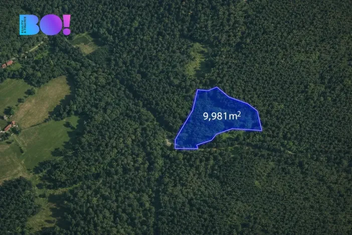 Prodej lesa, Jasenná, 58310 m2