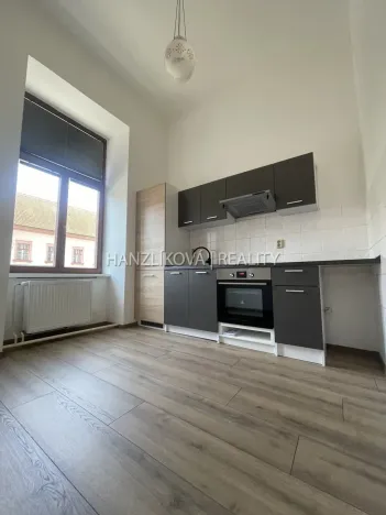 Pronájem bytu 2+1, České Budějovice - České Budějovice 6, Žižkova tř., 47 m2