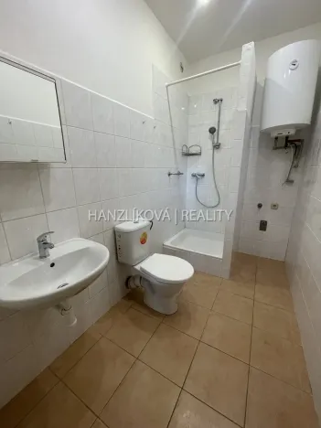 Pronájem bytu 2+1, České Budějovice - České Budějovice 6, Žižkova tř., 47 m2