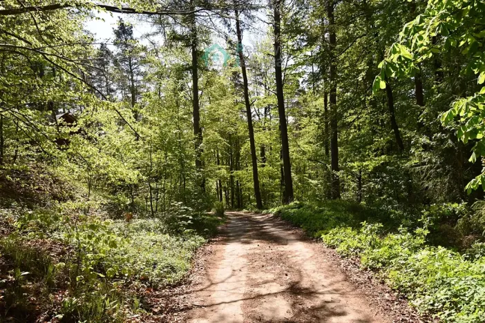 Prodej chaty, Křižanovice, 40 m2