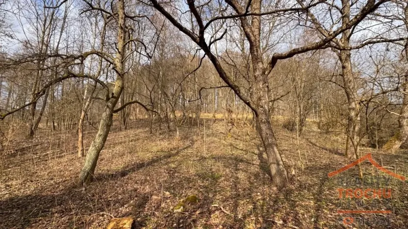 Prodej chalupy, Úhlejov - Chroustov, 55 m2