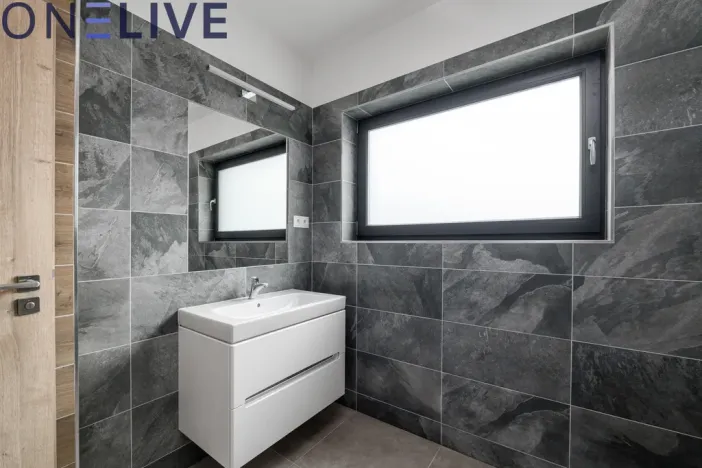 Pronájem rodinného domu, Plzeň, Na Plzeňce, 125 m2