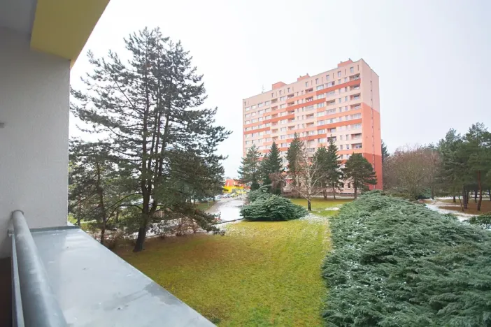 Pronájem bytu 1+1, Brno, Halasovo náměstí, 34 m2