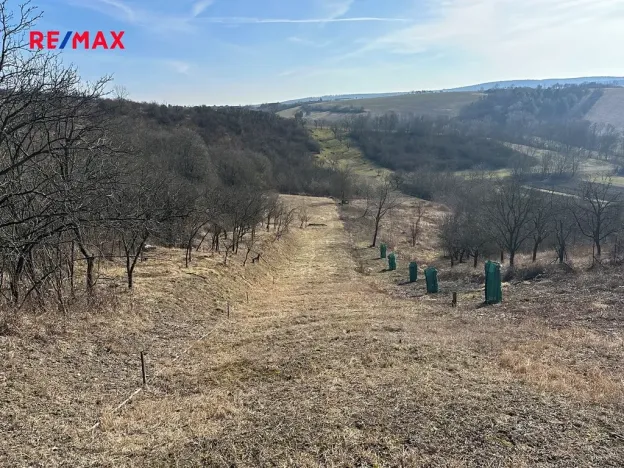 Prodej zahrady, Kobeřice u Brna, 1901 m2