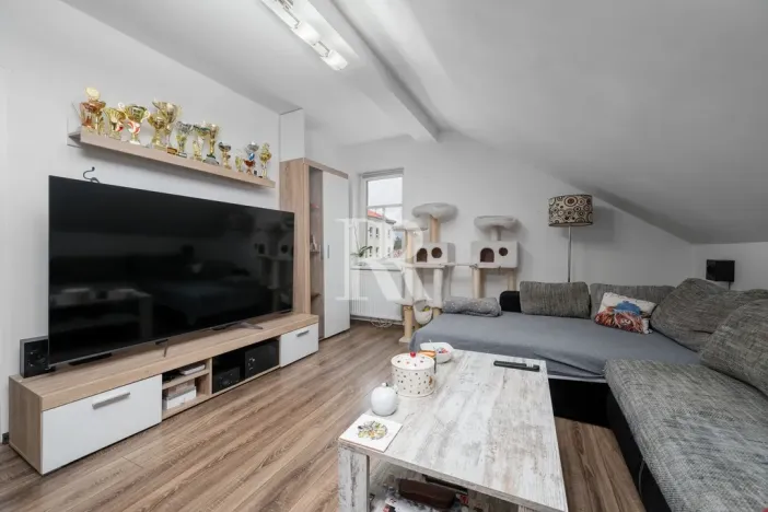 Prodej rodinného domu, Děčín, Březová, 347 m2