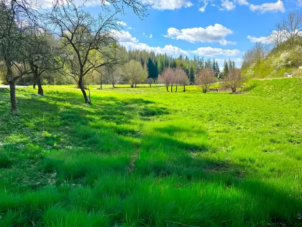 Prodej rodinného domu, Borušov, 236 m2