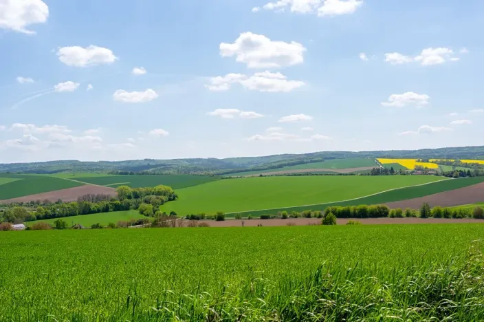 Prodej pozemku pro bydlení, Bučovice, 3623 m2