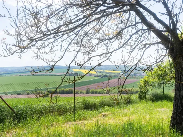 Prodej pozemku pro bydlení, Bučovice, 3623 m2
