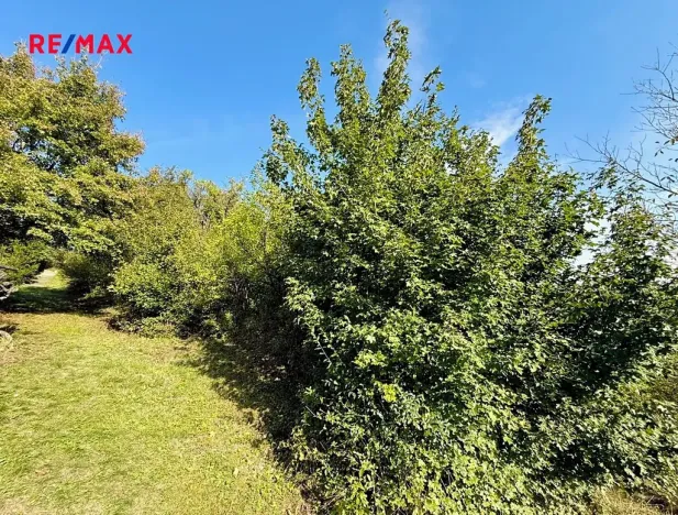 Prodej zahrady, Bílovice nad Svitavou, 589 m2