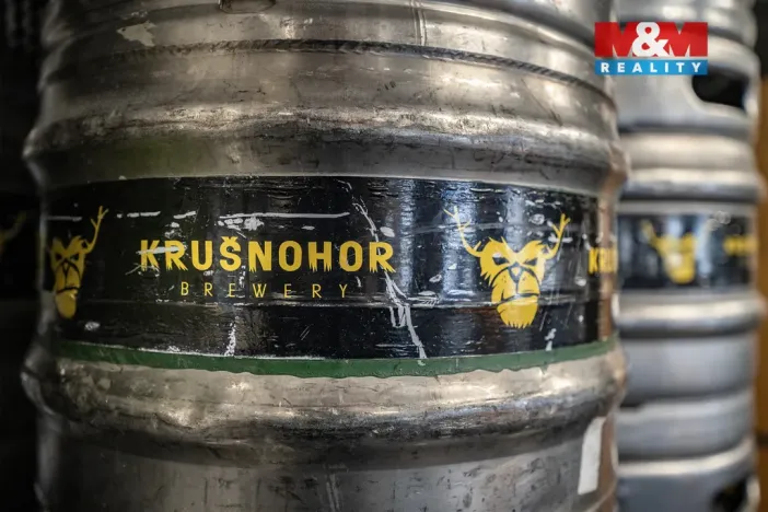 Prodej obchodního prostoru, Kraslice - Tisová, 560 m2