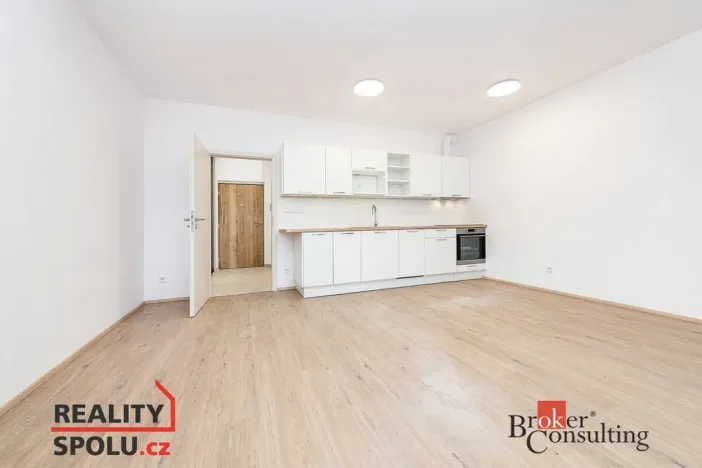 Prodej bytu 1+kk, Plzeň - Jižní Předměstí, Železná, 40 m2