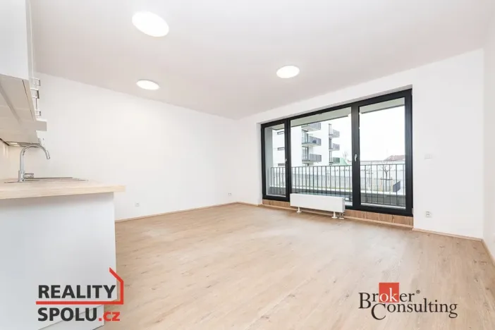 Prodej bytu 1+kk, Plzeň - Jižní Předměstí, Železná, 40 m2