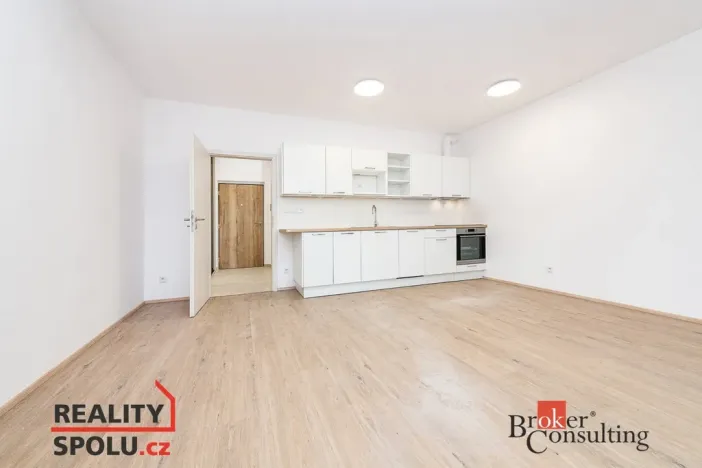 Prodej bytu 1+kk, Plzeň - Jižní Předměstí, Železná, 40 m2