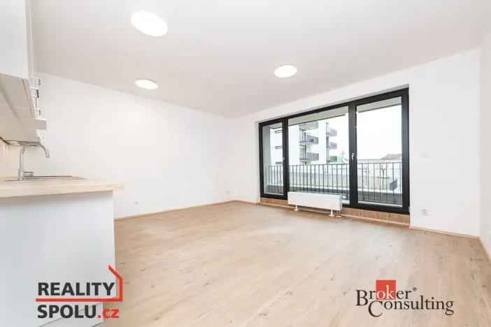 Prodej bytu 1+kk, Plzeň - Jižní Předměstí, Železná, 40 m2