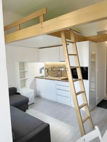 Pronájem bytu 1+kk, Praha, Hejtmánkova, 20 m2