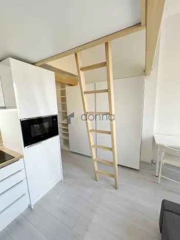 Pronájem bytu 1+kk, Praha, Hejtmánkova, 20 m2