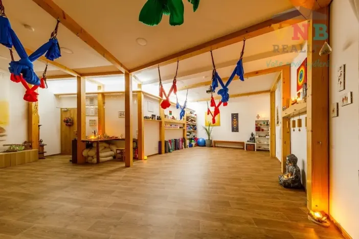 Prodej komerční nemovitosti, Prostějov, Sokolská, 205 m2