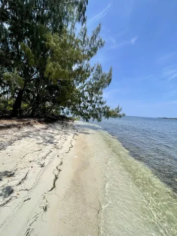 Prodej pozemku, Port Royal, José Santos Guardiola, Honduras, 161996 m2