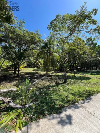 Prodej pozemku, Coxen Hole, Roatán, Honduras, 770 m2