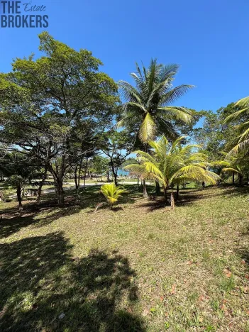 Prodej pozemku, Coxen Hole, Roatán, Honduras, 770 m2