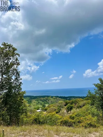 Prodej pozemku, Coxen Hole, Roatán, Honduras, 740 m2