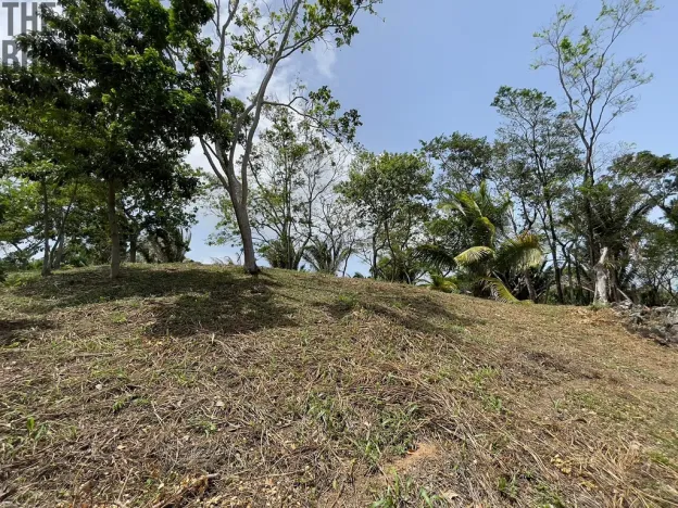 Prodej pozemku, Coxen Hole, Roatán, Honduras, 1884 m2